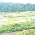 整備進む伊賀国庁跡 30年前に位置確定