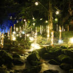 赤目四十八滝で「幽玄の竹あかり」 今年は水をテーマに渓谷照らす