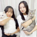 らぶペット 性格はまるで正反対 藤江さん家の「らむ」と「のあ」 伊賀