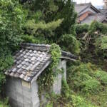 特定空き家を行政代執行で撤去 伊賀市で初