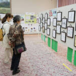 趣味の力作640点並ぶ いがまち展覧会 14、15日