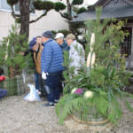 5年ぶり門松作りに汗 「松竹梅」持ち寄る 伊賀・青山恵比寿神社