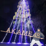 赤目滝に巨大ツリー「関西最大級」高さ25メートル 名張