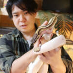 らぶペット「6匹の蛇」 伊賀市の井賀さん家