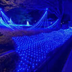 山あいに輝く光景 伊賀・布引地区 1月末まで