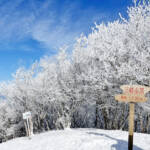 三峰山「霧氷まつり」 18日から土日祝開催 三重・奈良県境