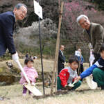 満開願いヤマザクラ植樹 岡田財団が200本寄贈 名張・赤目