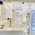 リトルベビーと家族の歩み 10日から伊賀で写真展