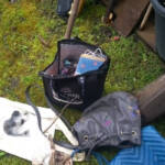 住人の就寝中に「忍び込み」名張で相次ぐ 被害女性「震え止まらなかった」