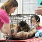 動物の気持ち考えて 保護団体が児童に「命の授業」 名張