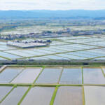 初夏の青空うつす水鏡 米どころ伊賀地域の田園風景