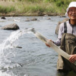 アユの稚魚放流 6月21日の釣り解禁前に 名張川漁協