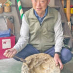 化石が語る太古の世界 300点コレクション展示 7日から伊賀市で