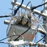 電柱上の巣、投稿して 停電防止へ 謝礼も 中部電力パワーグリッド