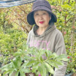 山野草で初夏感じて 7、8日 伊賀・赤井家で展示