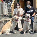 らぶペット 4匹の「ワンちゃんず」とにぎやかな毎日 伊賀