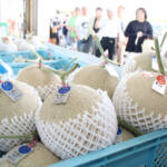 名張の特産「美旗メロン」販売スタート 8月上旬までに7000玉