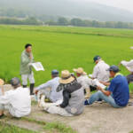 伊賀米の品質確保、収穫量上げる JAの青空教室