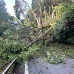 赤目滝への県道倒木で通行止め 一部で停電 渓谷へは迂回を 名張