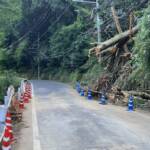 県道赤目滝線の通行止め解除 片側交互通行に 名張