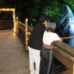 赤目のライトアップ一新 「滝あかり」26日から 名張