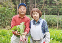大和野菜・片平あかねまつり 23日に山添村で