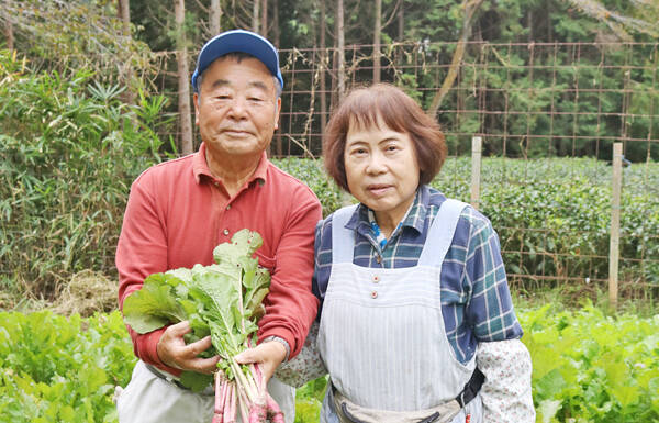 大和野菜・片平あかねまつり 23日に山添村で