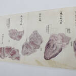 橘南谿の偉業知って 解剖図の発見機に企画 29日に津市でシンポ