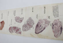 橘南谿の偉業知って 解剖図の発見機に企画 29日に津市でシンポ