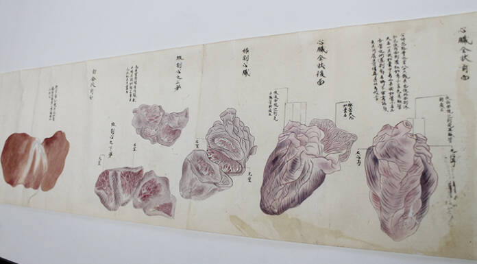 橘南谿の偉業知って 解剖図の発見機に企画 29日に津市でシンポ