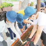 アート通じ交流生む 「まちの図工室」と名張小