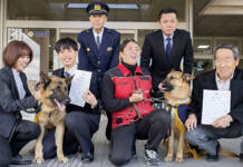 クンクン捜査は任せてワン! シェパード2頭を嘱託警察犬に 名張署