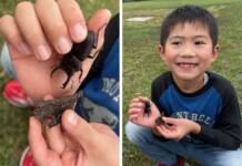 らぶペット 大切にお世話 初の越冬へ 宇陀・西浦さん