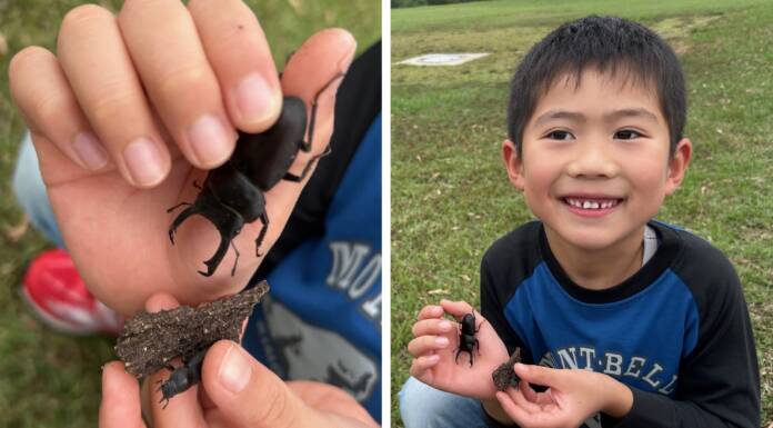 らぶペット 大切にお世話 初の越冬へ 宇陀・西浦さん