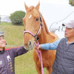 名張で過ごす“第二の馬生” 重賞2勝の元競走馬「オースミイチバン」