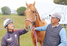 名張で過ごす“第二の馬生” 重賞2勝の元競走馬「オースミイチバン」