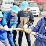 ミツマタで卒業証書 児童らが作業 伊賀市の柘植地域