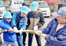 ミツマタで卒業証書 児童らが作業 伊賀市の柘植地域