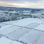 伊賀で積雪 一夜で銀世界に