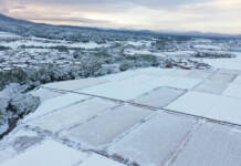 伊賀で積雪 一夜で銀世界に