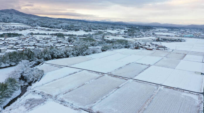 伊賀で積雪 一夜で銀世界に