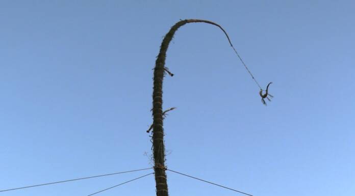 高さ17メートル「どんど」に願い込め点火 名張・美旗中村