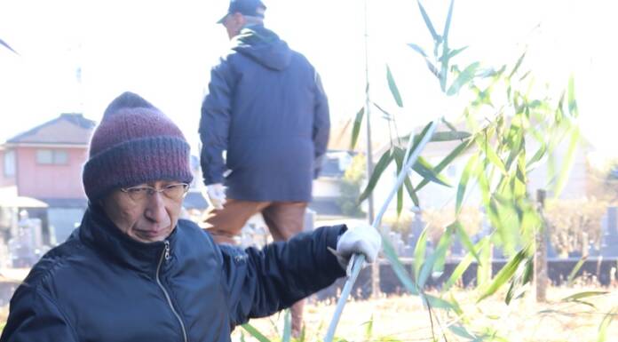 唐招提寺「うちわまき」のメダケ準備 住民ら伐採し選別 名張