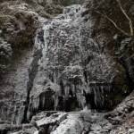 高さ30メートルの氷瀑に 赤目四十八滝「大日滝」 名張