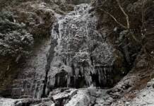 高さ30メートルの氷瀑に 赤目四十八滝「大日滝」 名張