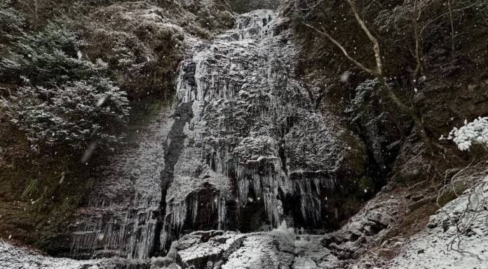高さ30メートルの氷瀑に 赤目四十八滝「大日滝」 名張