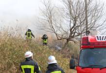 丘陵地で草燃える 強風で拡大し4万3800平方メートル焼く 伊賀市蔵縄手