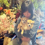 らぶペット 「楽しく生きてくれたら」 名張・副島さんとチワワ