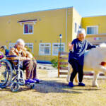 高齢者住宅の“アイドル” ミニチュアホース「もも」 みんなの癒やしに 名張