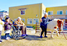 高齢者住宅の“アイドル” ミニチュアホース「もも」 みんなの癒やしに 名張